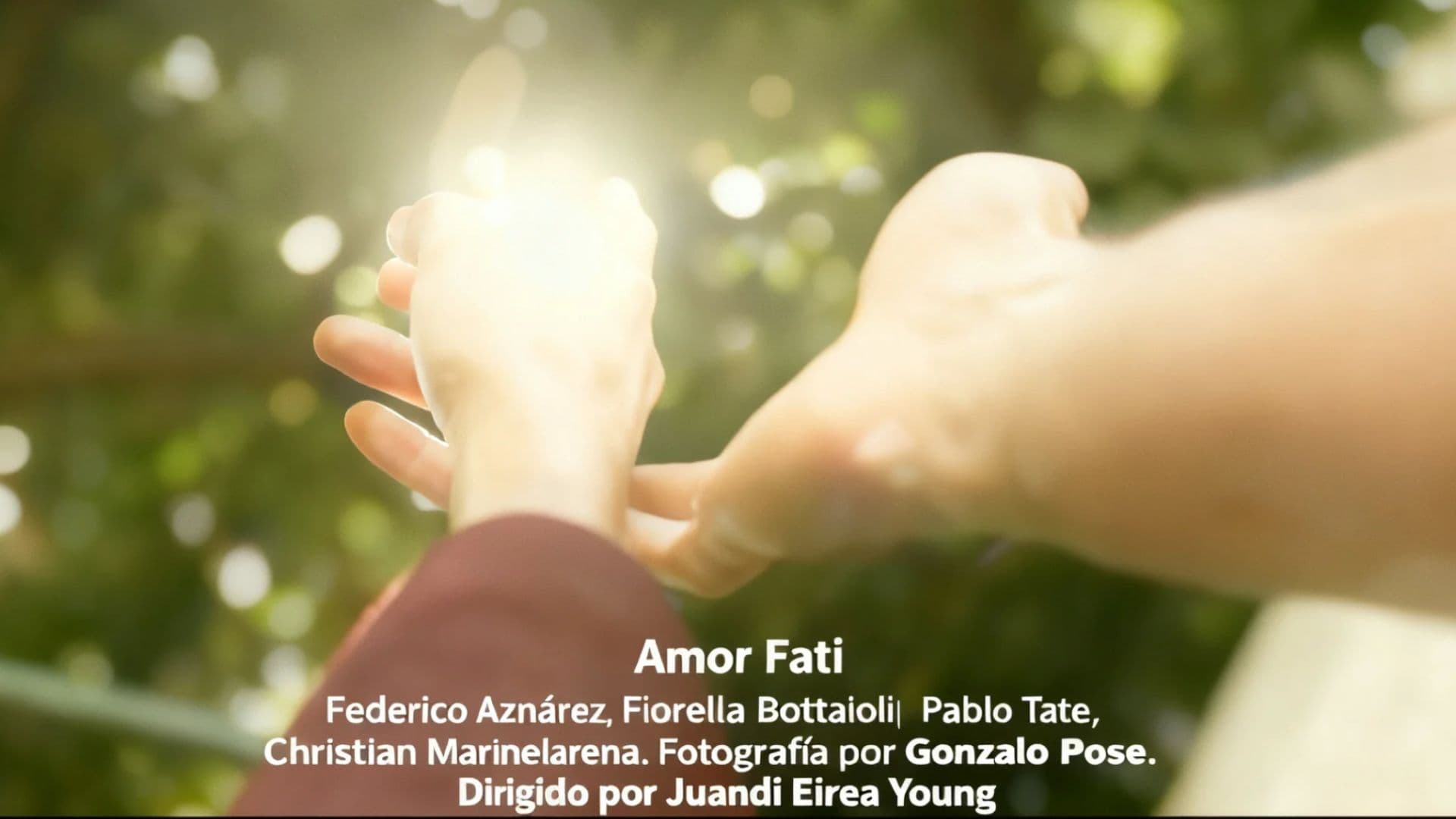 Amor Fati